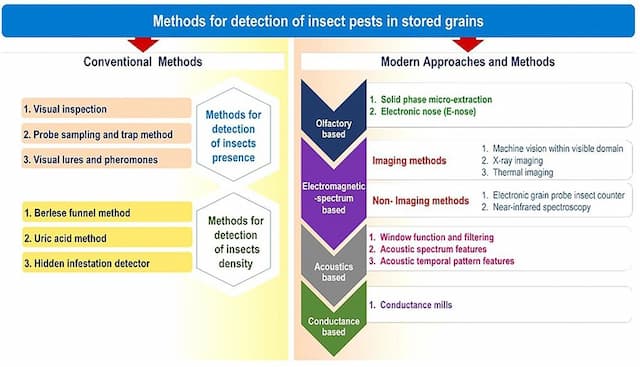 Comparison chart of conventional and modern methods for detecting insect pests in stored grains, highlighting technologies like electronic noses, X-ray imaging, and acoustic analysis that help prevent mycotoxin contamination in food.