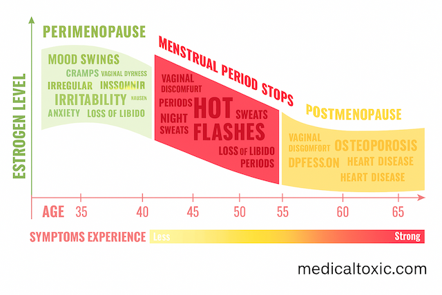 Infographic chart showing the decline in estrogen levels and progression of symptoms across three menopause stages: perimenopause, menopause (when menstrual periods stop), and postmenopause. The X-axis represents age from 35 to 70 years, while the Y-axis represents estrogen levels. Perimenopause is associated with symptoms like mood swings, cramps, insomnia, weight gain, irritability, and anxiety. The menopausal stage shows more intense symptoms, including hot flashes, night sweats, loss of libido, and irregular periods. In postmenopause, estrogen levels stabilize at a low level, and symptoms include osteoporosis, urinary infections, heart disease, and increased risk of breast cancer. A color gradient from green to red indicates symptom severity, increasing with age and hormonal decline. The website 'medicaltoxic.com' is written at the bottom of the image