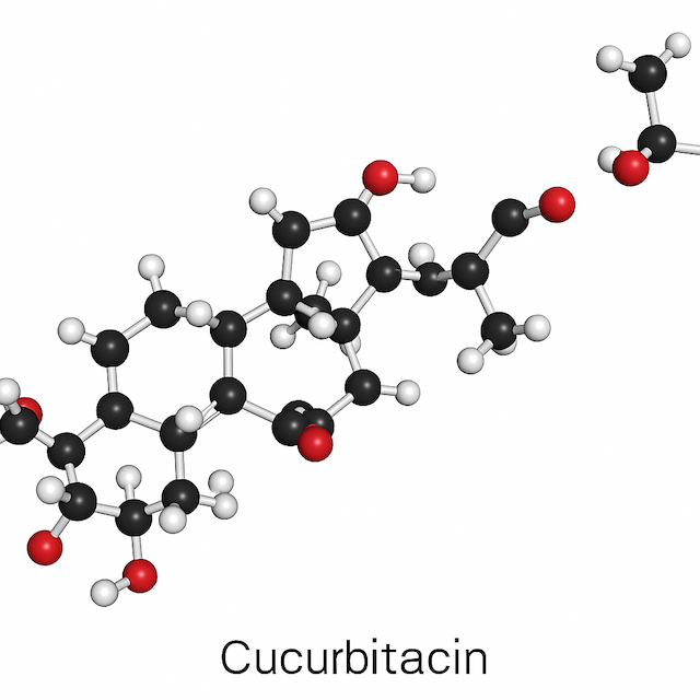 3D molecular structure of cucurbitacin, a highly oxygenated tetracyclic triterpenoid compound found in cucurbitaceae plants such as zucchini, cucumber, and gourds. The image shows a ball-and-stick model with carbon atoms in black, hydrogen in white, and oxygen in red, representing the bitter and toxic phytochemical responsible for cucurbitacin poisoning in humans when ingested in high concentrations