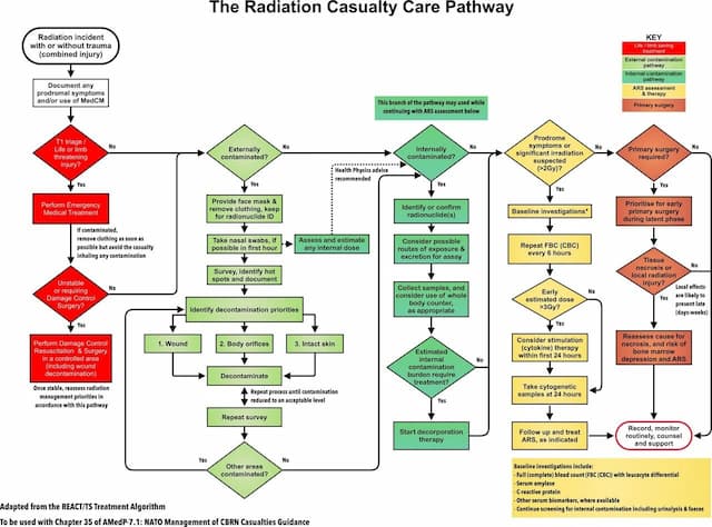 Radiation casualty care pathway flowchart showing emergency triage, external and internal contamination management, decontamination steps, medical treatment, surgery decisions, and acute radiation syndrome (ARS) assessment for clinicians