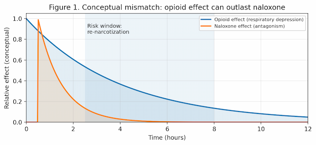 Naloxone in Xylazine, Nitazenes, and Fentanyl Analogue Overdose
