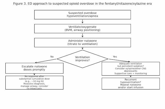 Flowchart showing airway/ventilation first, naloxone titration to ventilation, and branch points for persistent sedation (consider xylazine/other CNS depressants), infusion triggers, and reassessment after high cumulative doses.