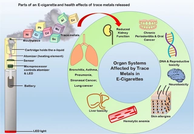 Infographic showing parts of an e-cigarette and how trace metals (lead, cadmium, nickel, chromium, copper, tin, manganese, aluminum) can be released into aerosol, with potential health effects including lung disease, reduced kidney function, liver toxicity, neurotoxicity, DNA and reproductive toxicity, oral cancer/periodontitis, skin allergies, and hemolytic anemia.