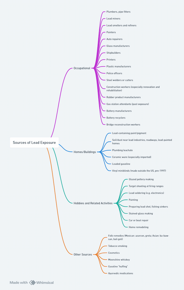 Mind map diagram titled "Sources of Lead Exposure" visually categorizing lead exposure risks into four groups: Occupational (e.g., painters, lead miners, battery recyclers), Homes/Buildings (e.g., lead-based paint, plumbing leachate), Hobbies and Related Activities (e.g., pottery making, firing ranges), and Other Sources (e.g., folk remedies, cosmetics, Ayurvedic medications). 
