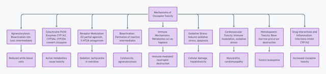 Flowchart depicting mechanisms of clozapine toxicity, including agranulocytosis, cytochrome P450 enzyme activity, receptor modulation, bioactivation, immune mechanisms, oxidative stress, cardiovascular toxicity, hematopoietic toxicity, and drug interactions leading to various toxic effects