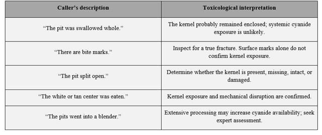 Table translating caller descriptions of swallowed, bitten, split, eaten, or blended cherry pits into toxicological risk interpretations.